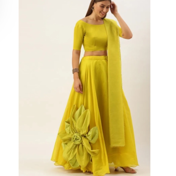 Embroidered Lehegna Set - Picture 1 of 11